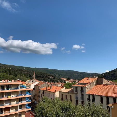 Hotel Des Bains Et Des Gorges Amelie-les-Bains-Palalda Luaran gambar